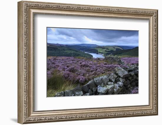 Heather Covered Bamford Moor-Eleanor Scriven-Framed Photographic Print