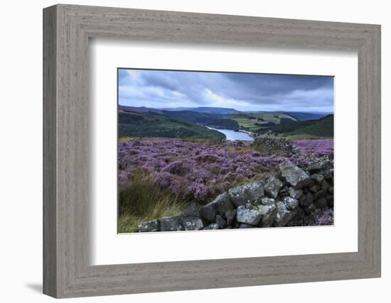 Heather Covered Bamford Moor-Eleanor Scriven-Framed Photographic Print