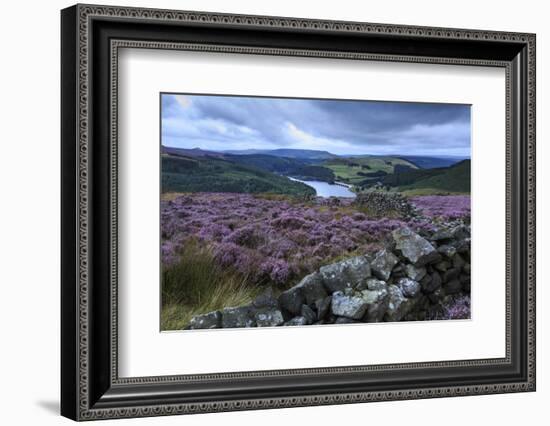 Heather Covered Bamford Moor-Eleanor Scriven-Framed Photographic Print