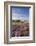 Heather in Flower on Porlock Common, Exmoor National Park, Somerset, England. Summer (August)-Adam Burton-Framed Photographic Print