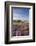 Heather in Flower on Porlock Common, Exmoor National Park, Somerset, England. Summer (August)-Adam Burton-Framed Photographic Print