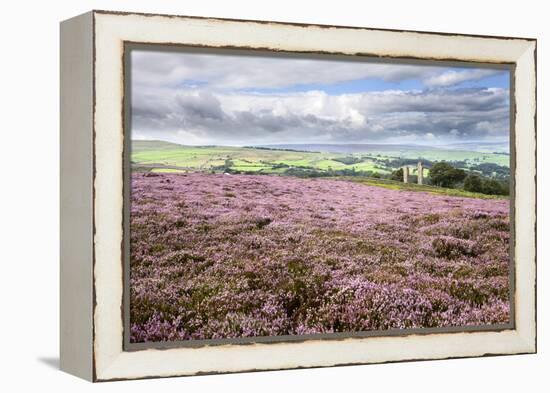 Heather Moorland and Yorkes Folly Near Pateley Bridge, Yorkshire, England, United Kingdom, Europe-Mark Sunderland-Framed Premier Image Canvas