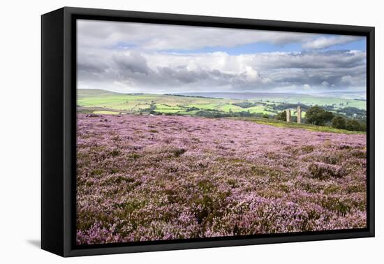 Heather Moorland and Yorkes Folly Near Pateley Bridge, Yorkshire, England, United Kingdom, Europe-Mark Sunderland-Framed Premier Image Canvas