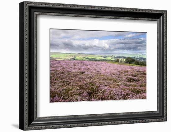 Heather Moorland and Yorkes Folly Near Pateley Bridge, Yorkshire, England, United Kingdom, Europe-Mark Sunderland-Framed Photographic Print