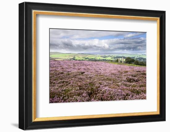 Heather Moorland and Yorkes Folly Near Pateley Bridge, Yorkshire, England, United Kingdom, Europe-Mark Sunderland-Framed Photographic Print