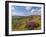 Heather Moorland, Baslow Edge Near Curbar, Peak District National Park, Derbyshire, England, UK-Neale Clarke-Framed Photographic Print