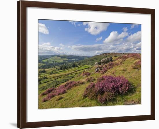 Heather Moorland, Baslow Edge Near Curbar, Peak District National Park, Derbyshire, England, UK-Neale Clarke-Framed Photographic Print