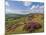 Heather Moorland, Baslow Edge Near Curbar, Peak District National Park, Derbyshire, England, UK-Neale Clarke-Mounted Photographic Print