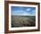 Heather on the Moors, North Yorkshire, England, United Kingdom-Jean Brooks-Framed Photographic Print