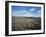 Heather on the Moors, North Yorkshire, England, United Kingdom-Jean Brooks-Framed Photographic Print