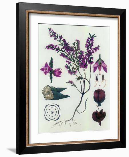 Heather-null-Framed Giclee Print