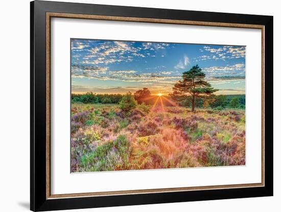 Heathland Sunset-Assaf Frank-Framed Giclee Print