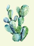 Cactus-Heaven on 3rd-Art Print