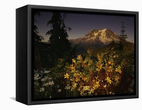 Heaven's Gate-Art Wolfe-Framed Premier Image Canvas