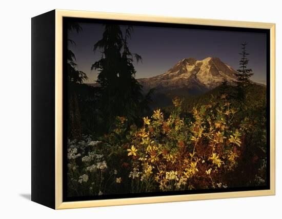 Heaven's Gate-Art Wolfe-Framed Premier Image Canvas