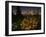 Heaven's Gate-Art Wolfe-Framed Photographic Print