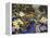 Heaven Scent-Kerne Erickson-Framed Stretched Canvas