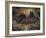 ?Heaven-Tintoretto-Framed Photographic Print