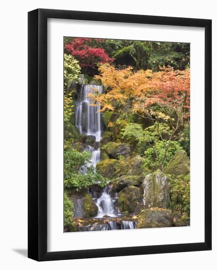 Heavenly Falls and Autumn Colors, Portland Japanese Garden, Oregon, USA-William Sutton-Framed Photographic Print