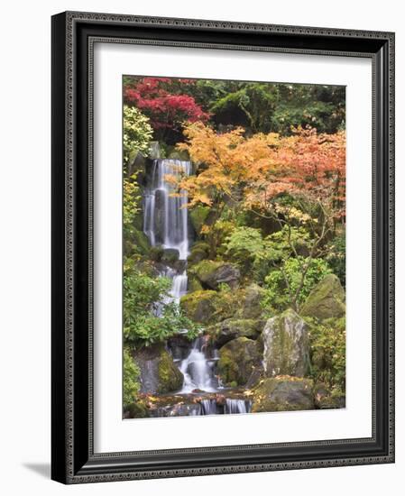 Heavenly Falls and Autumn Colors, Portland Japanese Garden, Oregon, USA-William Sutton-Framed Photographic Print