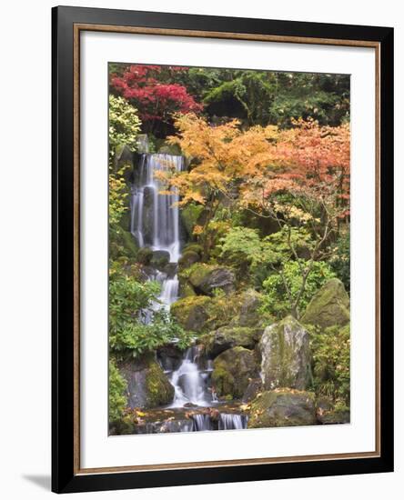 Heavenly Falls and Autumn Colors, Portland Japanese Garden, Oregon, USA-William Sutton-Framed Photographic Print