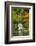 Heavenly Falls, Portland Japanese Garden, Oregon, Usa-Michel Hersen-Framed Photographic Print