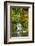 Heavenly Falls, Portland Japanese Garden, Oregon, Usa-Michel Hersen-Framed Photographic Print