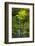 Heavenly Falls, Portland Japanese Garden, Portland, Oregon, USA-Michel Hersen-Framed Photographic Print