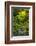 Heavenly Falls, Portland Japanese Garden, Portland, Oregon, USA-Michel Hersen-Framed Photographic Print