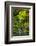 Heavenly Falls, Portland Japanese Garden, Portland, Oregon, USA-Michel Hersen-Framed Photographic Print