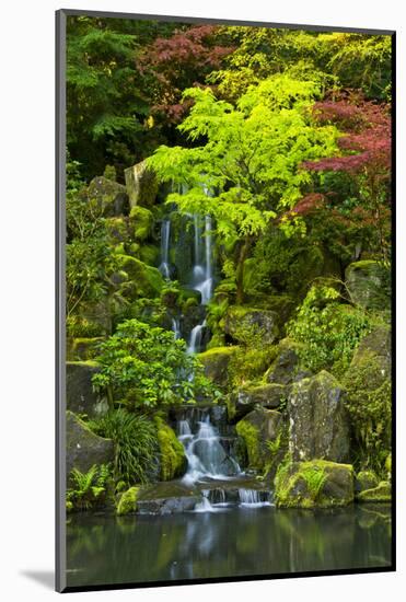 Heavenly Falls, Portland Japanese Garden, Portland, Oregon, USA-Michel Hersen-Mounted Photographic Print