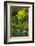 Heavenly Falls, Portland Japanese Garden, Portland, Oregon, USA-Michel Hersen-Framed Photographic Print