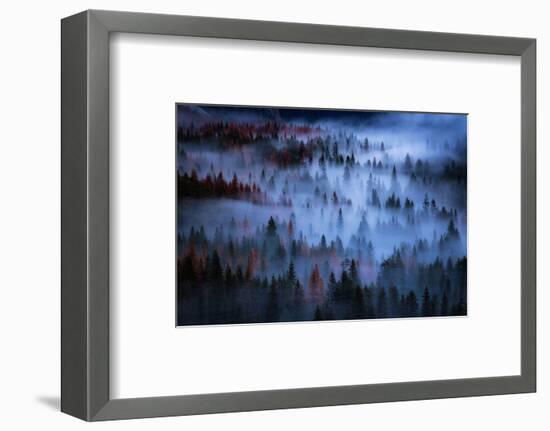 Heavenly Mesmer Fog & Light Trees Sark Yosemite Winter Storm Valley-Vincent James-Framed Photographic Print