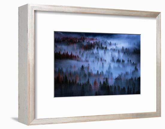 Heavenly Mesmer Fog & Light Trees Sark Yosemite Winter Storm Valley-Vincent James-Framed Photographic Print