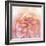 Heavenly Rose-Rebecca Swanson-Framed Photographic Print