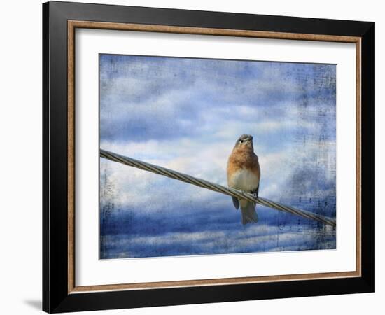 Heavenly Song of the Bluebird-Jai Johnson-Framed Giclee Print