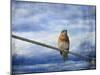 Heavenly Song of the Bluebird-Jai Johnson-Mounted Giclee Print