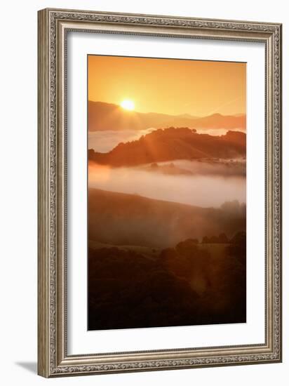 Heavenly Warmth & Spring Fog, Oakland Hills California-Vincent James-Framed Photographic Print