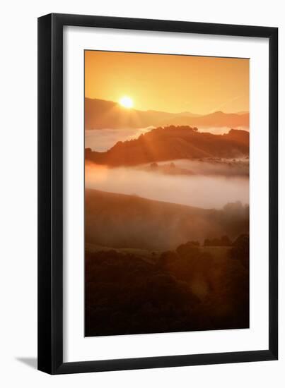 Heavenly Warmth & Spring Fog, Oakland Hills California-Vincent James-Framed Photographic Print