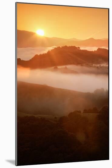 Heavenly Warmth & Spring Fog, Oakland Hills California-Vincent James-Mounted Photographic Print