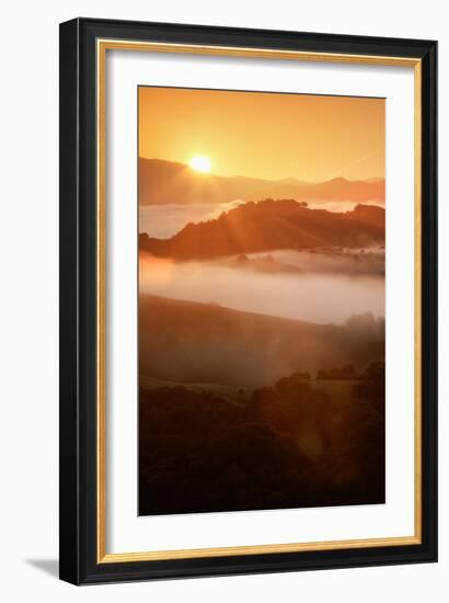 Heavenly Warmth & Spring Fog, Oakland Hills California-Vincent James-Framed Photographic Print