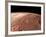 Heavily Cratered Highlands on the Surface of Mars-Stocktrek Images-Framed Photographic Print