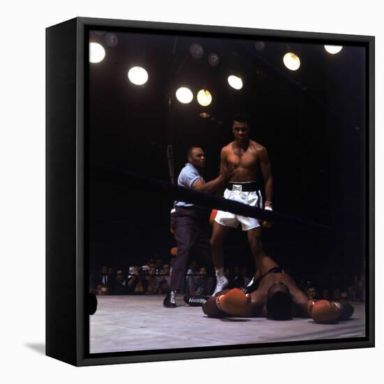 Heavyweight Boxer Cassius Clay, aka Muhammad Ali, Standing over Opponent Sonny Liston-George Silk-Framed Premier Image Canvas