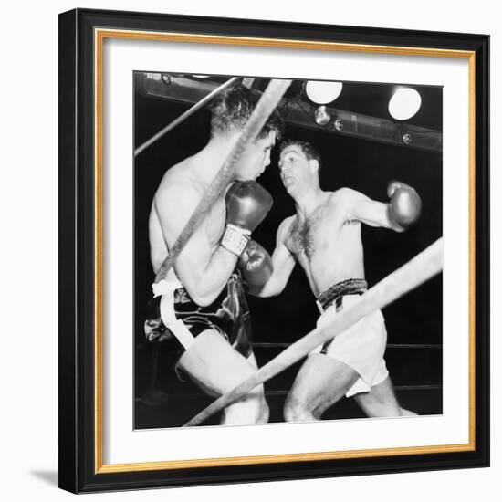 Heavyweight Champion Rocky Marciano (Right) Backs Roland Lastarza Against the Ropes-null-Framed Premium Photographic Print