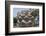 Hebrew Menorah Carved into Stone Capital in Roman Town of Capernaum-Hal Beral-Framed Photographic Print