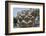 Hebrew Menorah Carved into Stone Capital in Roman Town of Capernaum-Hal Beral-Framed Photographic Print