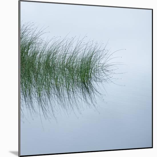 Hebridean Haiku-Doug Chinnery-Mounted Photographic Print