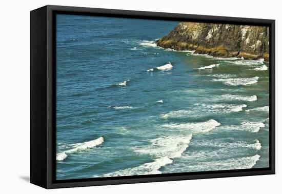 Heceta Head Area, Oregon Coast, Oregon, USA.-Michel Hersen-Framed Premier Image Canvas