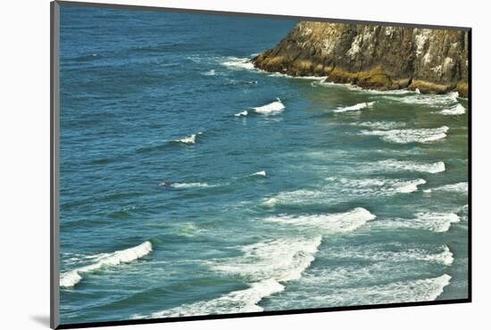 Heceta Head Area, Oregon Coast, Oregon, USA.-Michel Hersen-Mounted Photographic Print