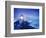 Heceta Head Lighthouse, Devil's Elbow State Park, Oregon Coast-Stuart Westmorland-Framed Photographic Print